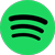 Spotify icon